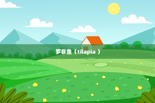 罗非鱼（tilapia ）