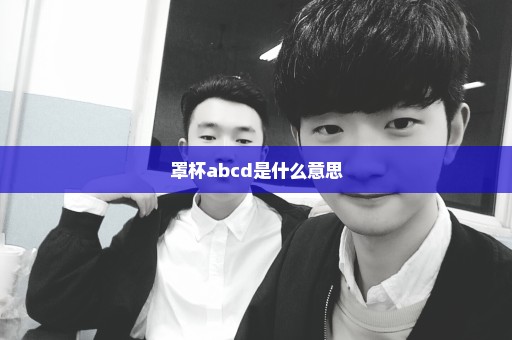 罩杯abcd是什么意思