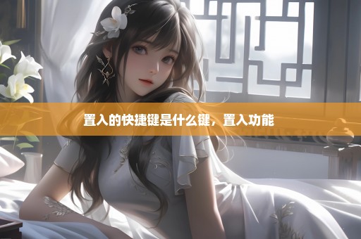 置入的快捷键是什么键，置入功能 