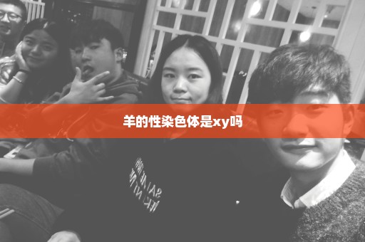 羊的性染色体是xy吗
