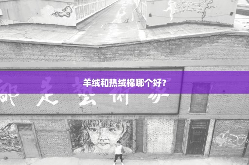 羊绒和热绒棉哪个好？