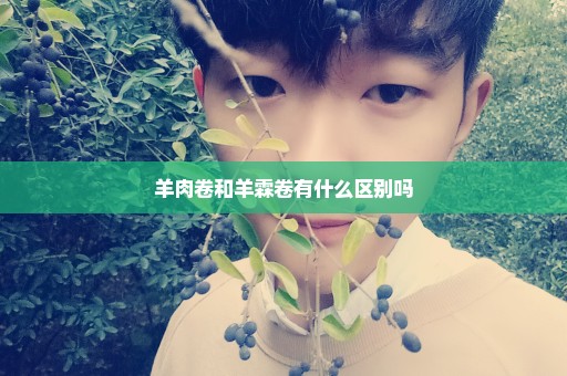 羊肉卷和羊霖卷有什么区别吗