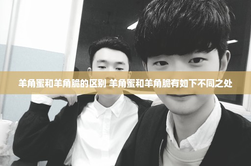 羊角蜜和羊角脆的区别 羊角蜜和羊角脆有如下不同之处