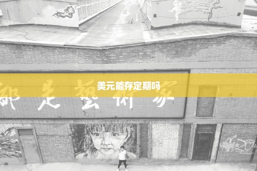 美元能存定期吗