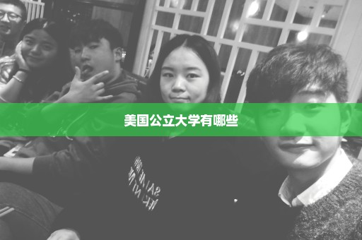 美国公立大学有哪些