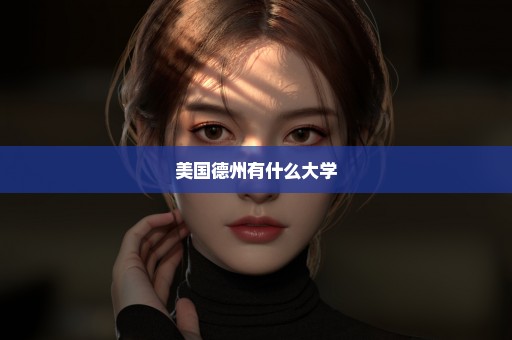 美国德州有什么大学