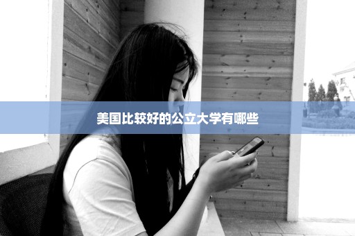 美国比较好的公立大学有哪些
