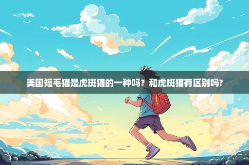 美国短毛猫是虎斑猫的一种吗？和虎斑猫有区别吗?