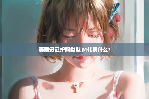美国签证护照类型 M代表什么?