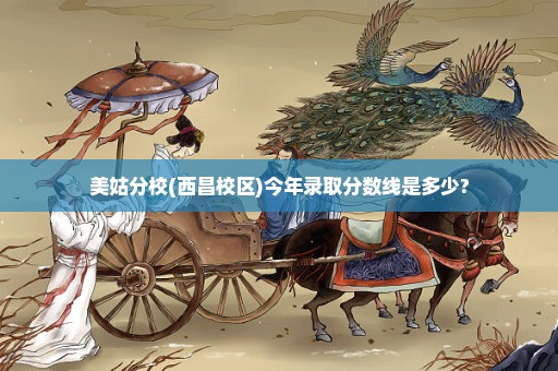 美姑分校(西昌校区)今年录取分数线是多少?
