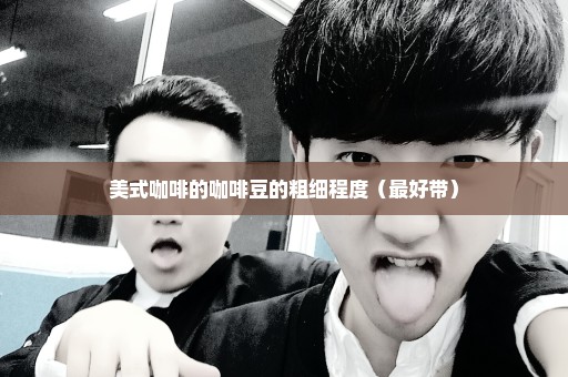 美式咖啡的咖啡豆的粗细程度（最好带）