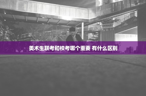 美术生联考和校考哪个重要 有什么区别