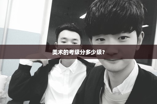美术的考级分多少级？