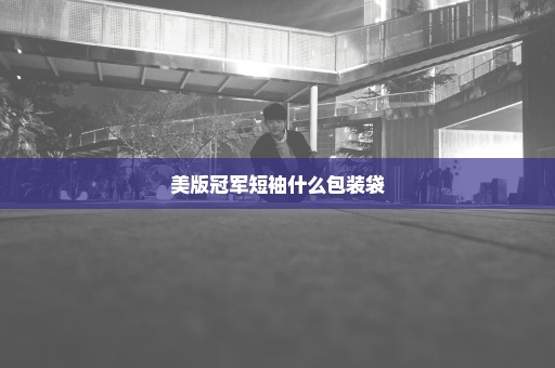 美版冠军短袖什么包装袋