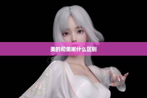 美的和美家什么区别