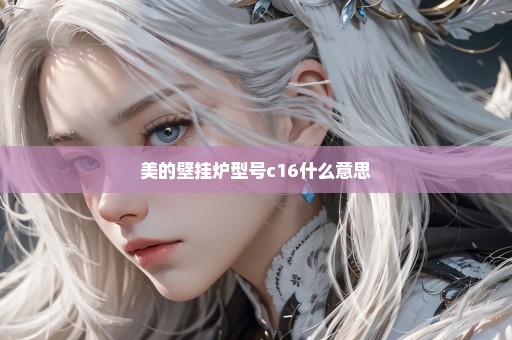美的壁挂炉型号c16什么意思