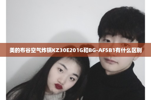 美的布谷空气炸锅KZ30E201G和BG-AF5B1有什么区别
