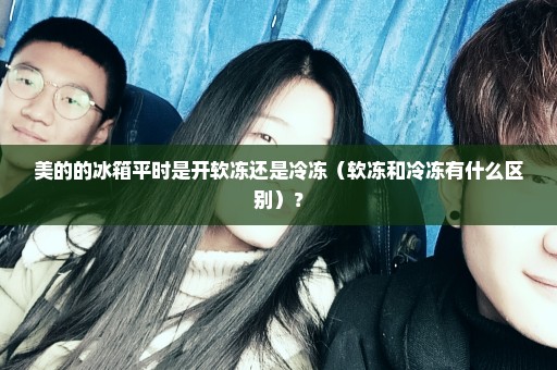 美的的冰箱平时是开软冻还是冷冻（软冻和冷冻有什么区别）？