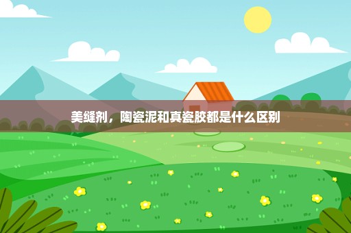 美缝剂，陶瓷泥和真瓷胶都是什么区别