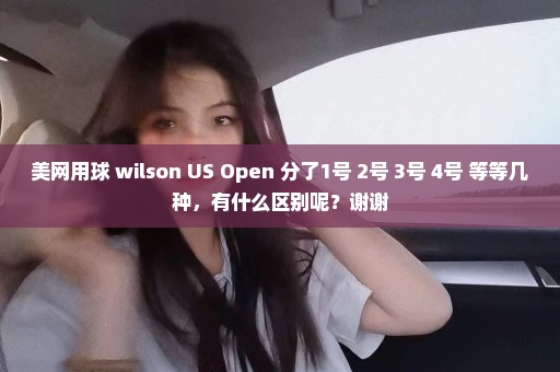 美网用球 wilson US Open 分了1号 2号 3号 4号 等等几种，有什么区别呢？谢谢