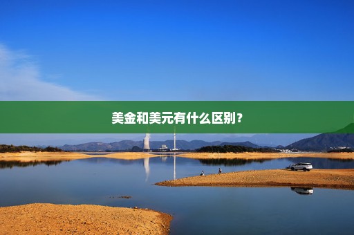 美金和美元有什么区别？