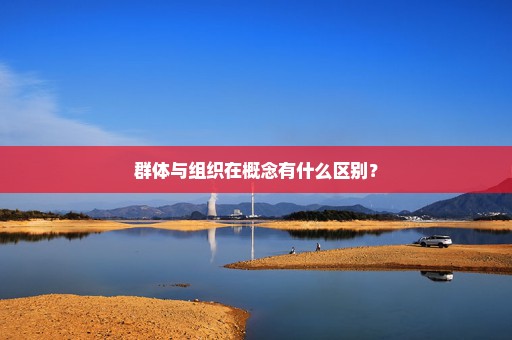 群体与组织在概念有什么区别？