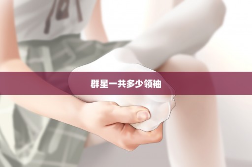 群星一共多少领袖