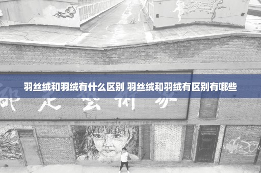 羽丝绒和羽绒有什么区别 羽丝绒和羽绒有区别有哪些