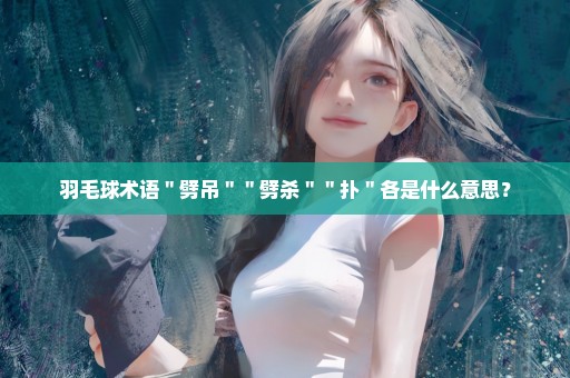 羽毛球术语＂劈吊＂＂劈杀＂＂扑＂各是什么意思？