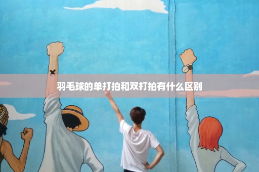 羽毛球的单打拍和双打拍有什么区别