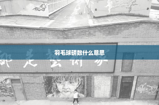 羽毛球磅数什么意思