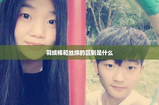 羽绒棉和丝绵的区别是什么