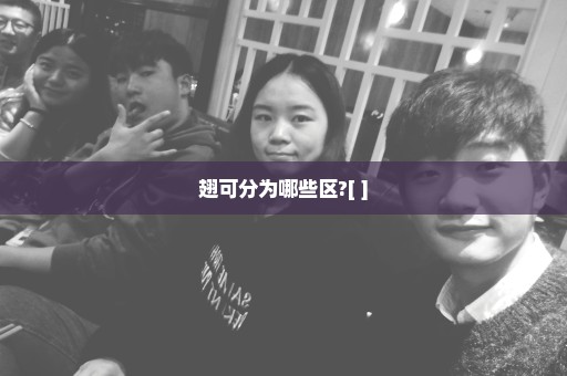 翅可分为哪些区?[ ]
