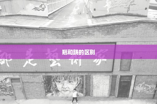 翘和跷的区别