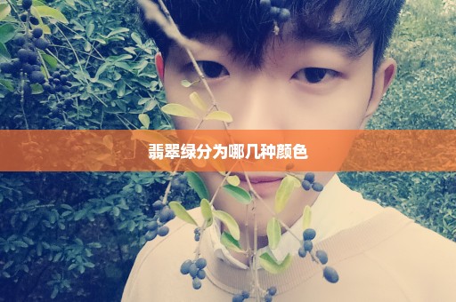 翡翠绿分为哪几种颜色