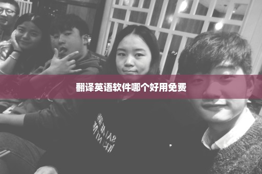 翻译英语软件哪个好用免费