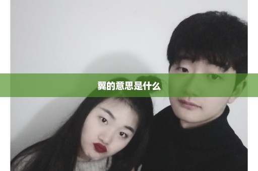 翼的意思是什么