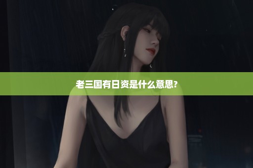 老三国有日资是什么意思?