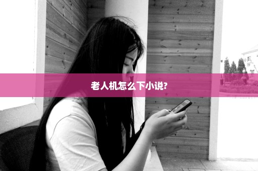 老人机怎么下小说?