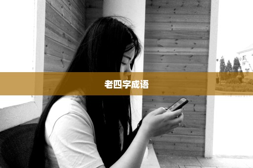 老四字成语