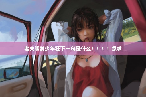老夫聊发少年狂下一句是什么！！！！急求