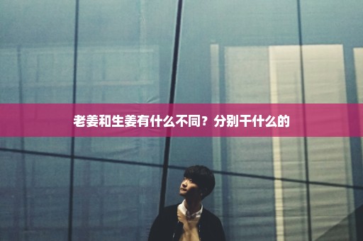 老姜和生姜有什么不同？分别干什么的