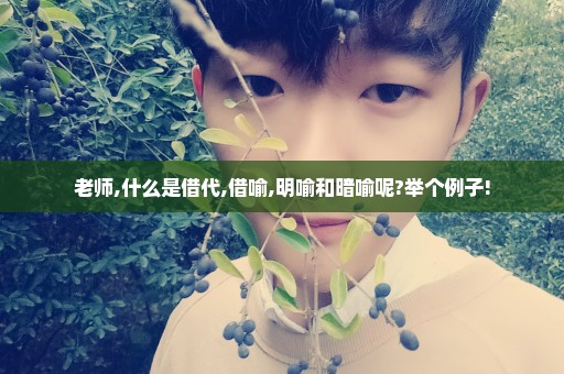 老师,什么是借代,借喻,明喻和暗喻呢?举个例子!