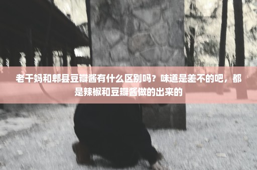 老干妈和郫县豆瓣酱有什么区别吗？味道是差不的吧，都是辣椒和豆瓣酱做的出来的