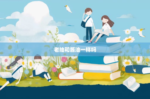 老抽和酱油一样吗