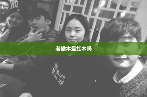 老榆木是红木吗