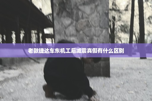 老款捷达车东机工后减震真假有什么区别