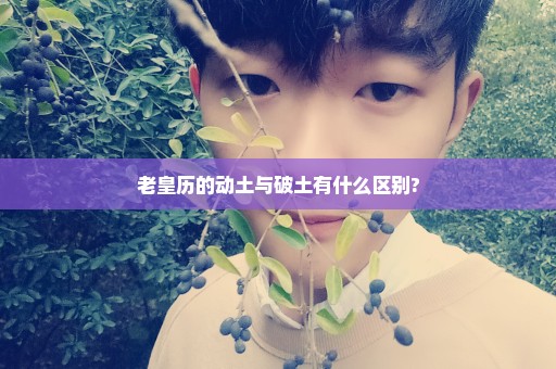 老皇历的动土与破土有什么区别?