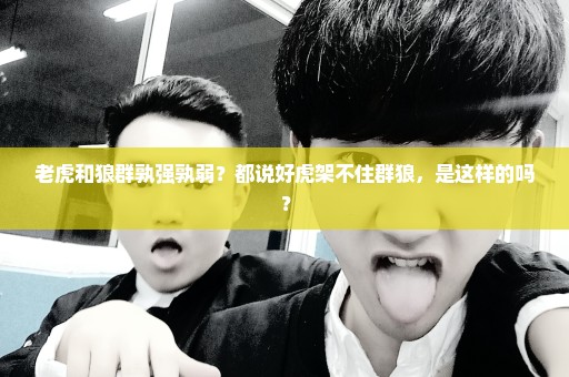 老虎和狼群孰强孰弱？都说好虎架不住群狼，是这样的吗？