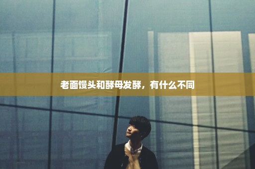 老面馒头和酵母发酵，有什么不同
